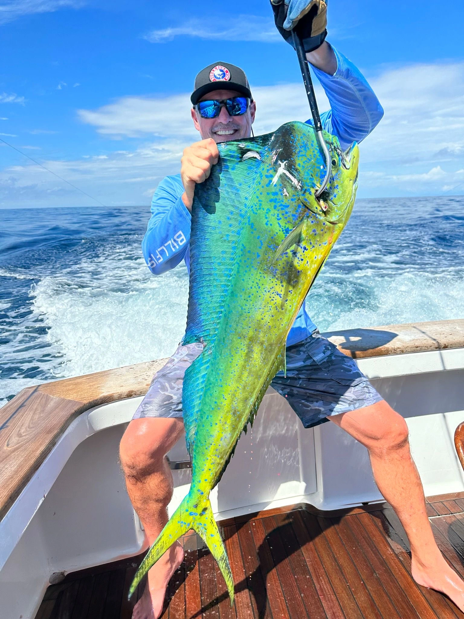 Descripción de la imagen